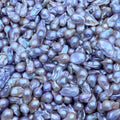 DIY Material Natural freshwater colored Baroque pearl loose beads, AAA grade 20-30mm large Baroque pearl single purchase